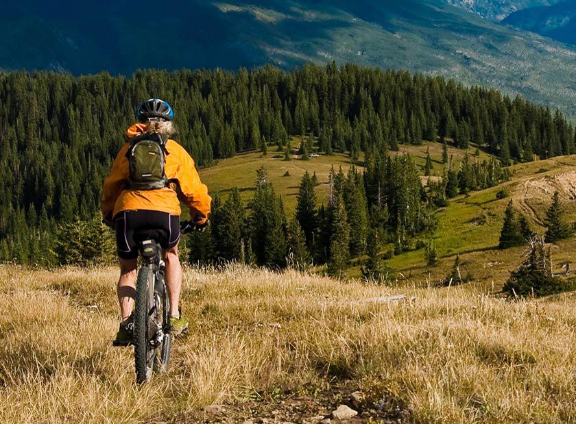 Learning to Love Again